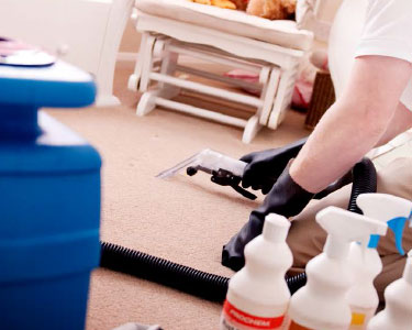 Carpet Cleaning