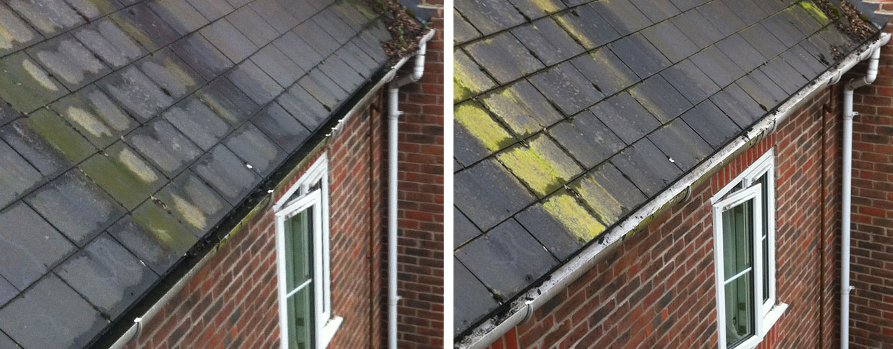before-after